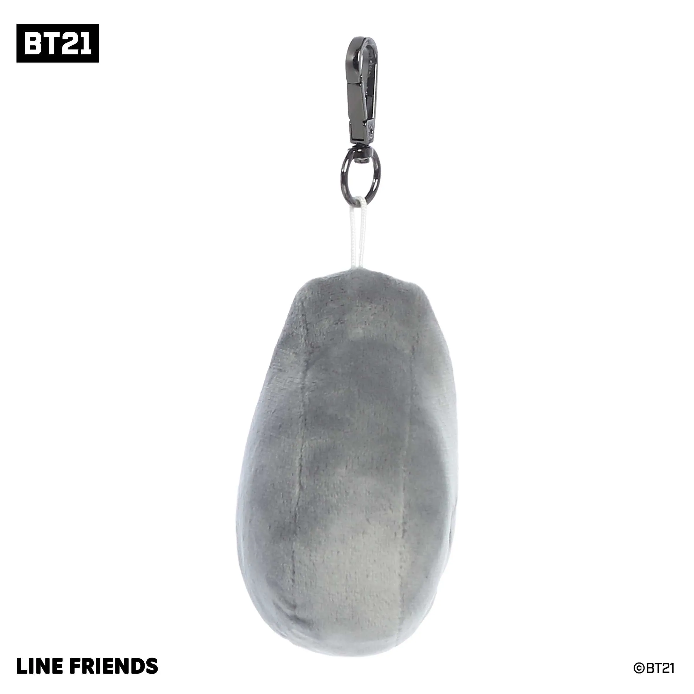 Aurora® - BT21 - 4" VAN Keychain