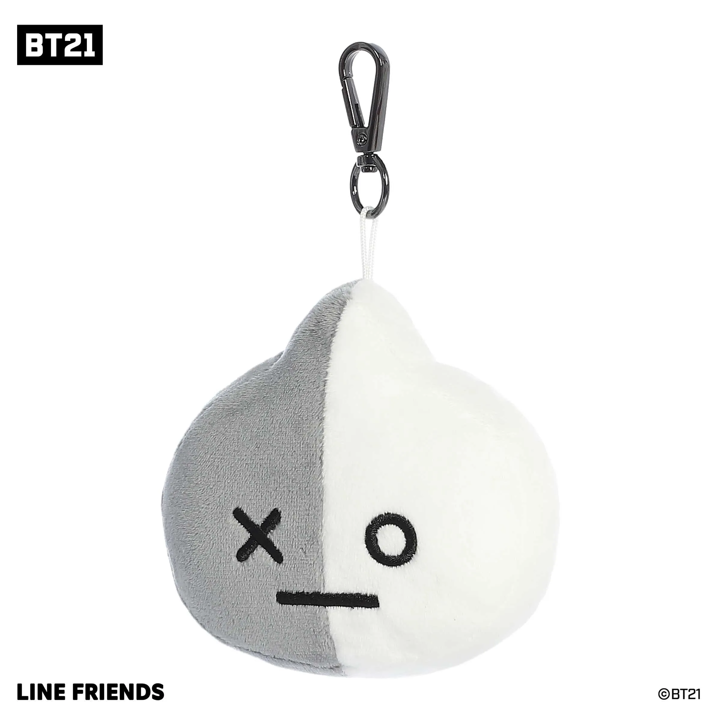 Aurora® - BT21 - 4" VAN Keychain