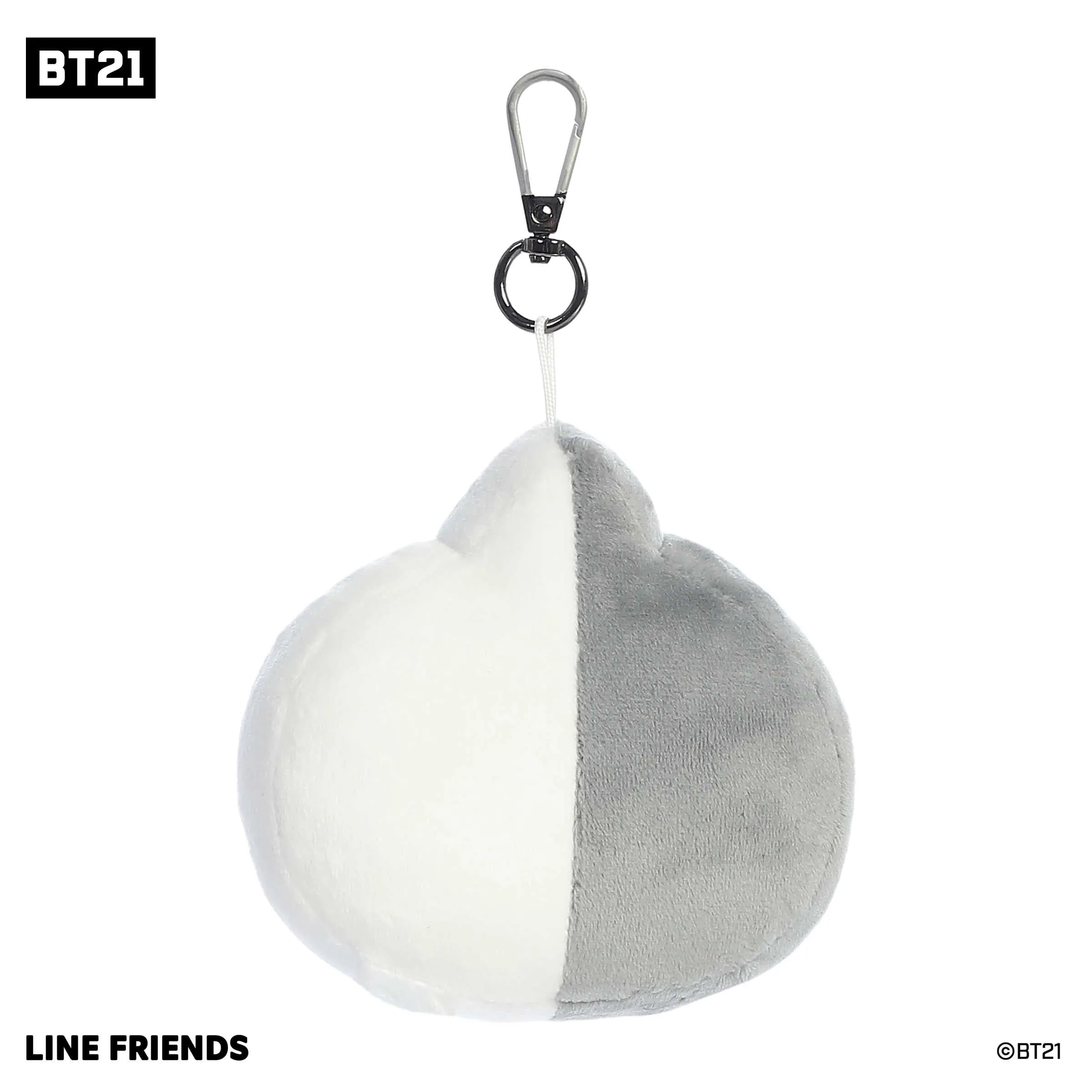 Aurora® - BT21 - 4" VAN Keychain