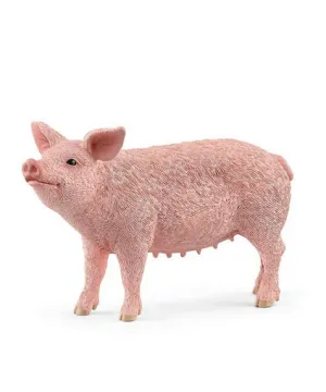 Pig
